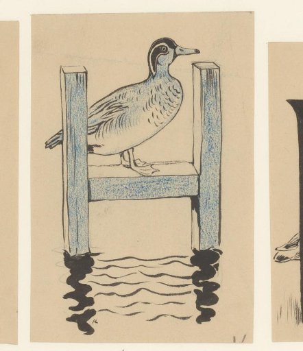Letter H with a Duck