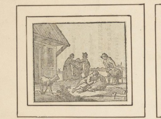 Shearing the sheep