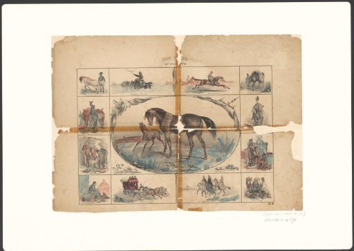The Horse and Its Use