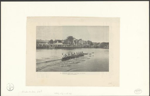 Winners of a Rowing Race in Leiden