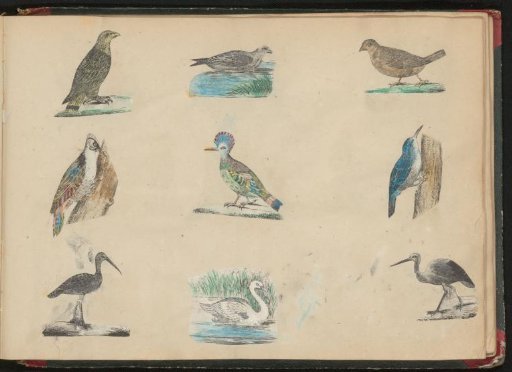Album page with 9 print fragments of birds