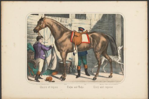 Horse being unsaddled