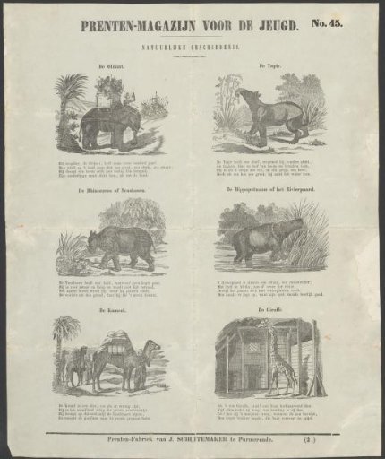 Animals