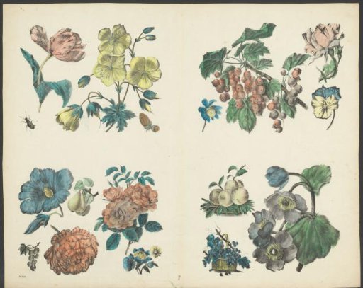 Various flowers