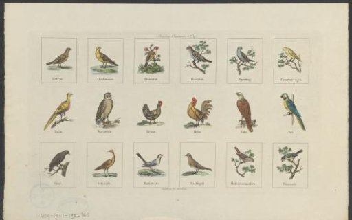 Animals and Objects with Verses