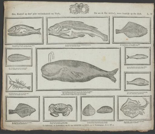 Sperm whale, other fish, and crustaceans and shellfish