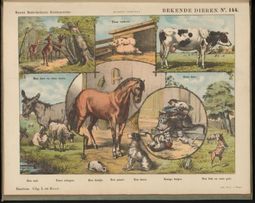Farm animals and deer