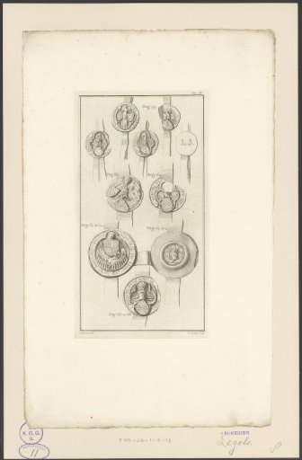Sheet with seals