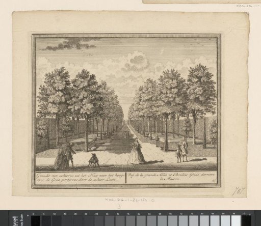 View from Huis Meervliet to the Rear Avenue