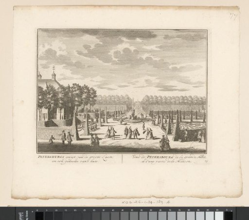 View of the main avenue of the Petersburg estate