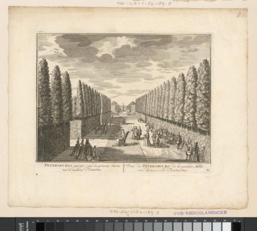 View of the main avenue to the new fountain of the Petersburg estate