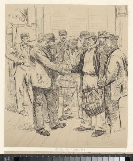 The pigeon market