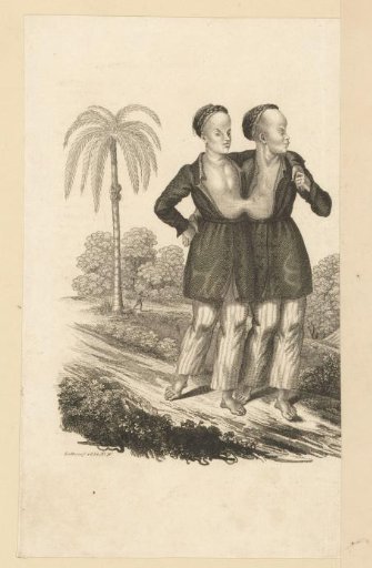 Portrait of the conjoined twins Chang and Eng Bunker