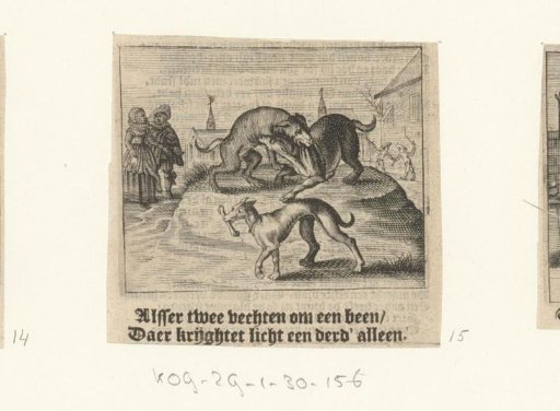 Two dogs fight over a bone, while a third takes it away
