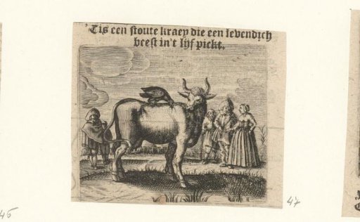 A Crow Pecking a Cow on the Back