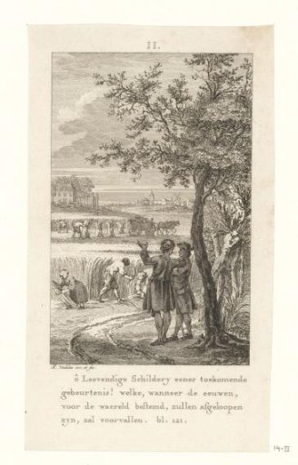 Grain harvest in summer