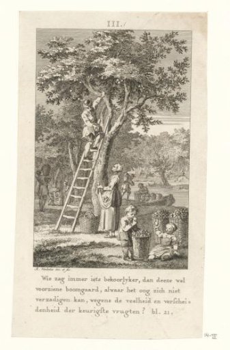 Apple harvest in autumn