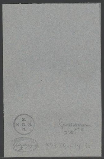 The Goose Board, considered as a symbol of our life