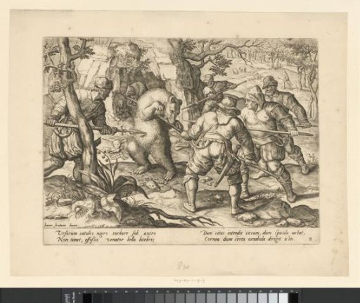 Wolf Hunt