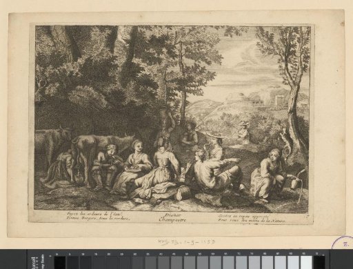 Picnic at the edge of the forest