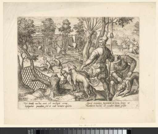 Fox Hunt