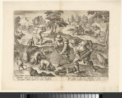 Hunting Porcupines