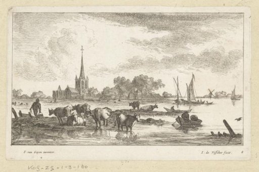 Grazing cows in the floodplains