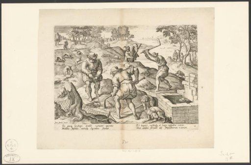 Badger Hunt