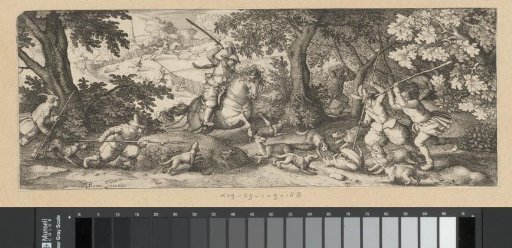 Fox Hunt