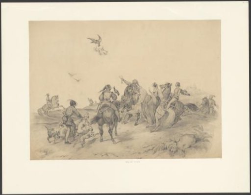 Falconry
