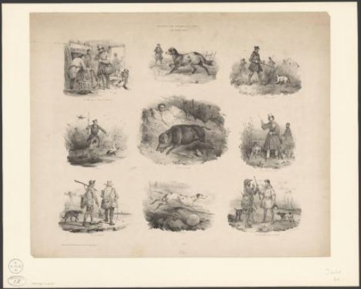 Nine Scenes of Hunting with the Rifle