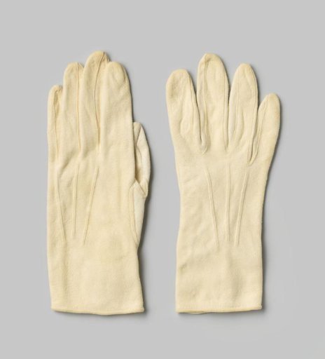 Glove of Ambassador Allard Merens