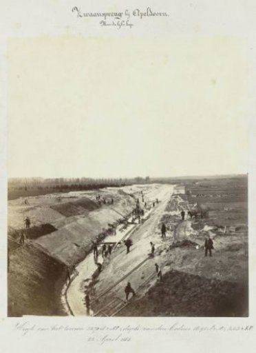 Swan spring near Apeldoorn