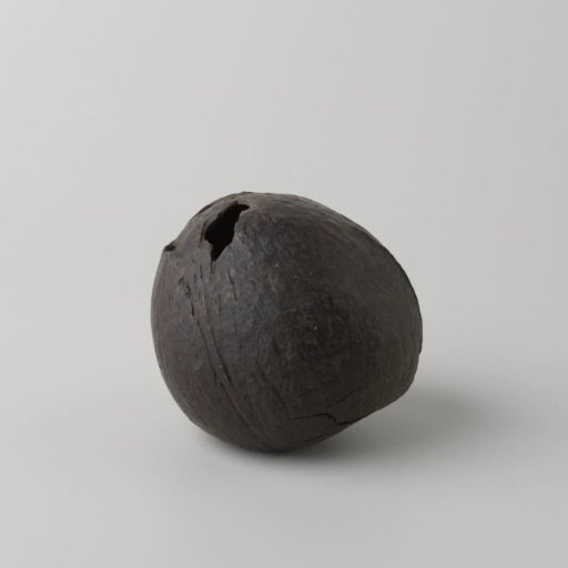 Coconut from the VOC ship 'Witte Leeuw'