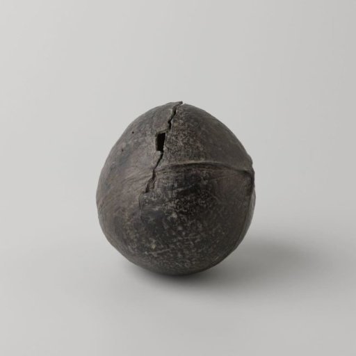 Coconut from the VOC ship 'Witte Leeuw'