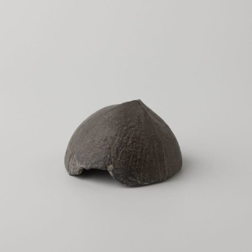 Half coconut shell from the wreck of the Dutch East India ship Witte Leeuw