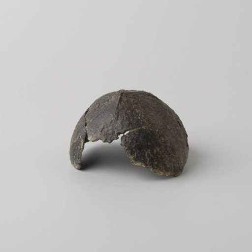 Half coconut from the VOC ship 'Witte Leeuw'