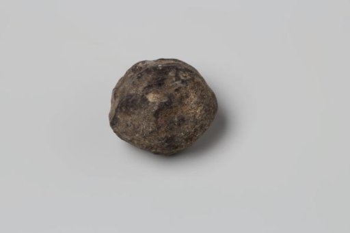 Nutmeg from the VOC ship 'Witte Leeuw'