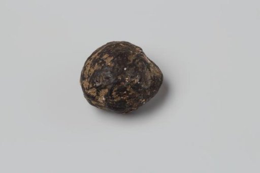 Nutmeg from the VOC ship 'Witte Leeuw'