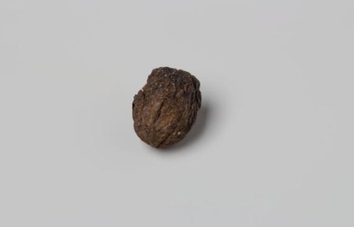 Cashew nut from the VOC ship 'Witte Leeuw'