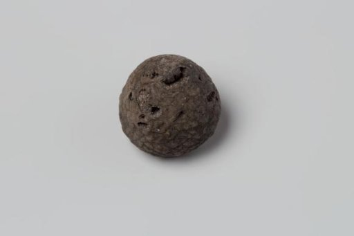 Areca nut from the VOC ship 'Witte Leeuw'