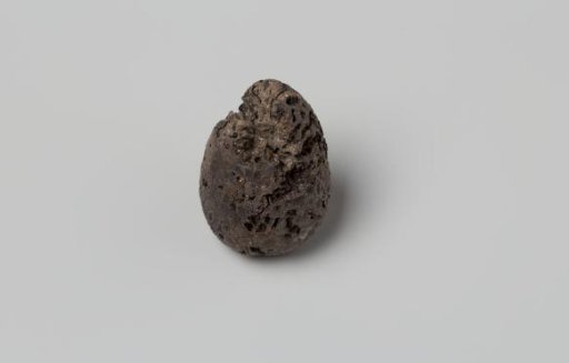 Areca nut from the VOC ship 'Witte Leeuw'