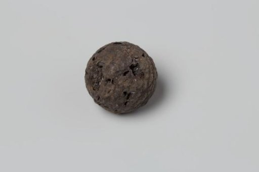 Areca nut from the VOC ship 'Witte Leeuw'