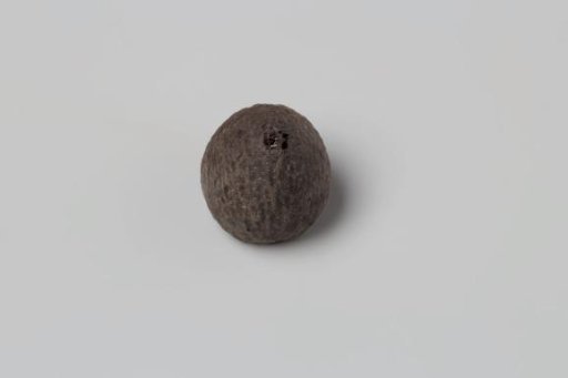 Areca nut from the VOC ship 'Witte Leeuw'