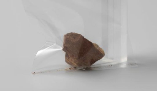 Fragment from the VOC ship 'Witte Leeuw'