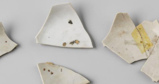 Shards of Several Plates, found at the VOC ship Witte Leeuw, possibly originating from Zeelelie