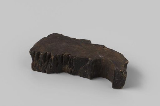 Fragment of a sheave of a pulley from the wreck of the East Indiaman Hollandia