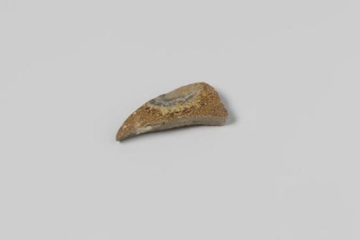 Sherd of a Jug from the Wreck of the East Indiaman Hollandia