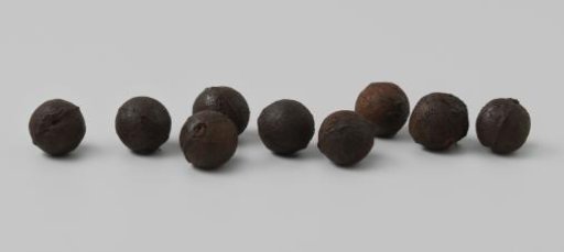 Balls from the wreck of the Dutch East Indiaman Hollandia