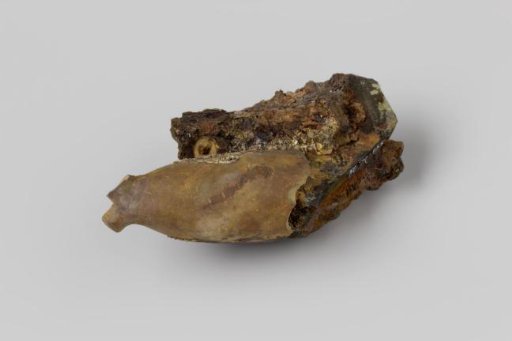 Concretion with fragment of a pipe bowl and glass from the wreck of the East Indiaman Hollandia